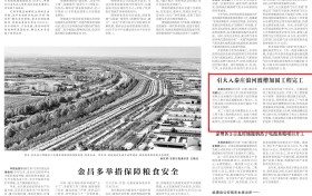 卡本碳纤维布助力引大入秦渡槽加固 保障兰张高铁安全驰骋